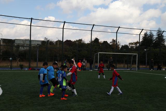 阿森纳14岁少年引多家俱乐部关注 成年模版厄德高